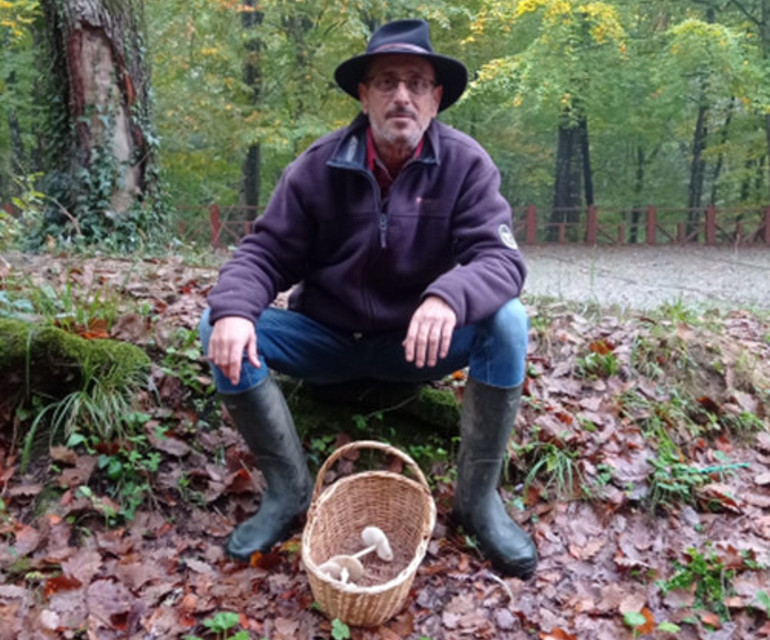 Belgrad Ormanında zehirli köygöçüren mantarlarını kim topladı? Bu inanışlar hayatlara mal olabilir
