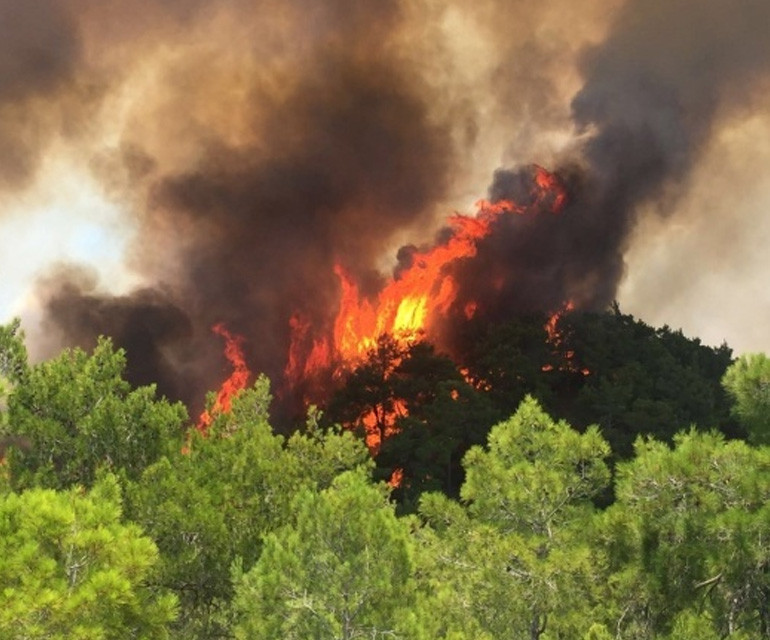 Antalyaya 29 yıl sonra yol kapatan kar! 1956dan 1993e şehrin kar arşivi...