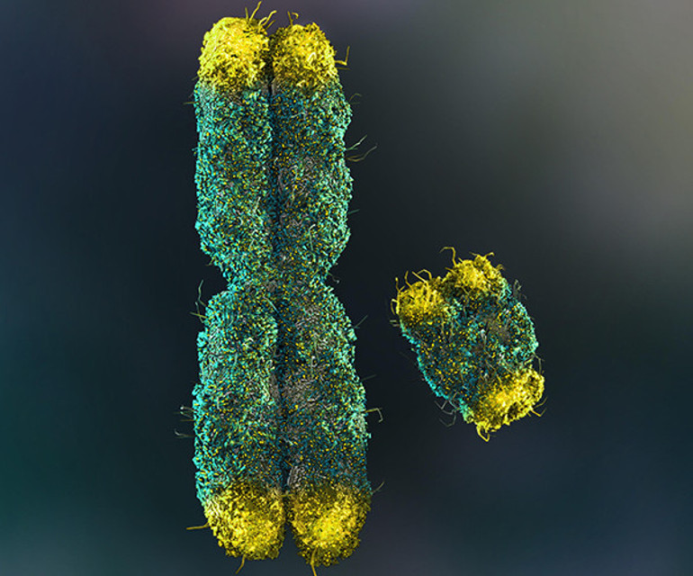 30 yıl önce işlenen cinayette flaş gelişme! Teknoloji şirketi CEOsu nasıl yakalandı? 30 yıl önce işlenen cinayette flaş gelişme! Teknoloji şirketi CEOsu nasıl yakalandı?