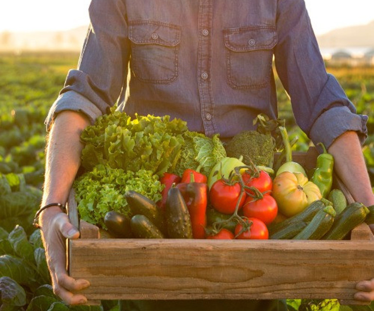 Kafalar karışık... Organik gıda ne demek? Daha mı sağlıklılar? | 8 SORU 8 YANIT