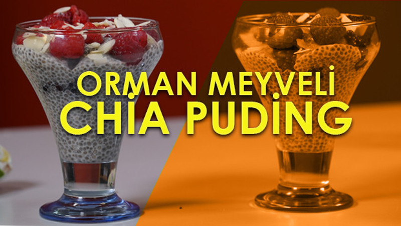 Orman meyveli chia puding tarifi