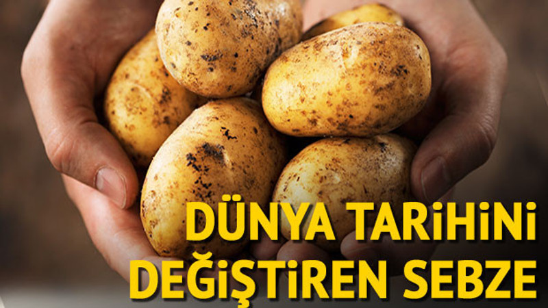 Dünya tarihini değiştiren sebze: Patates 