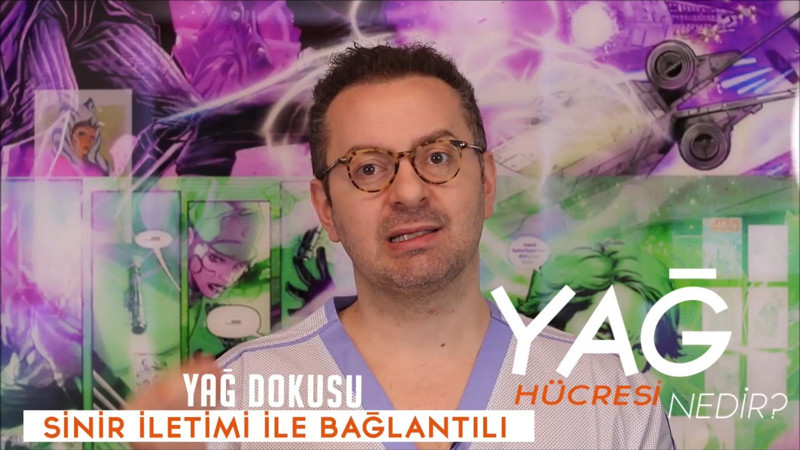Yağ Hücresi Nedir?