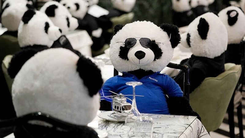 Koronavirüs yasağına 'pandalı' protesto! 