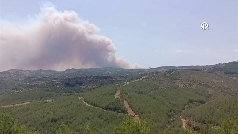 Mersin'in Silifke ilçesinde orman yangını