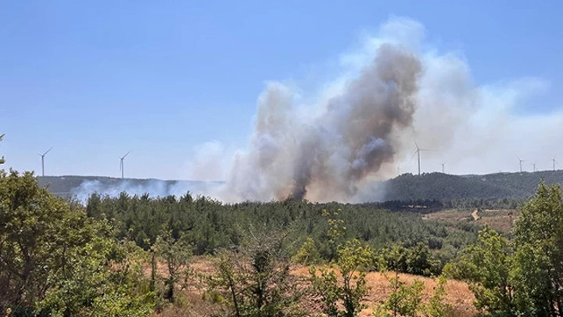 Mersin ve Çanakkale'de ormanlık alanda yangın çıktı
