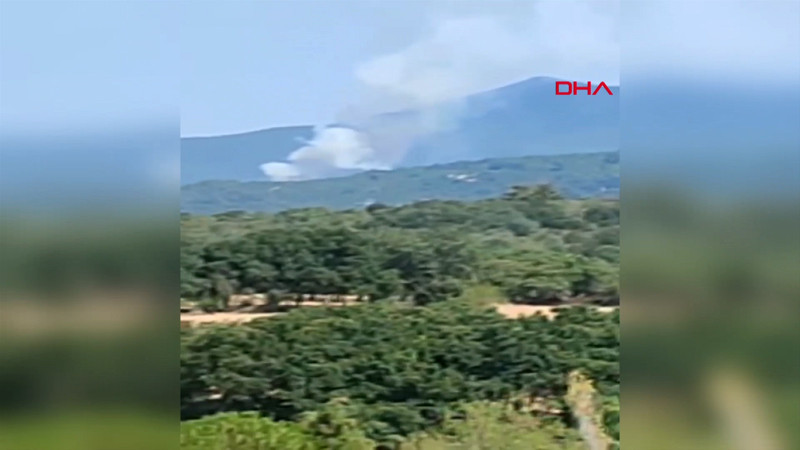 Çanakkale’de orman yangını