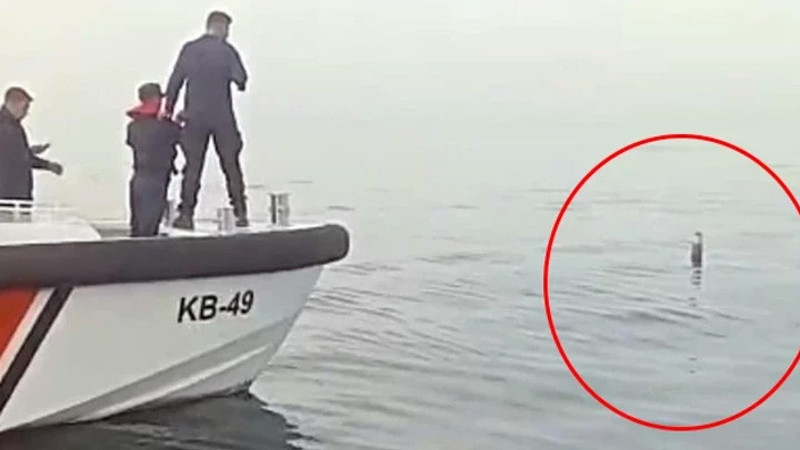 Karadeniz'de balıkçılar gördü! Sahil Güvenlik ekiplerine haber verildi