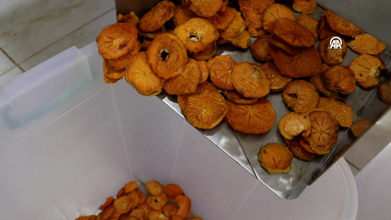 Devlet desteğiyle Trabzon hurması cipsi üreten kadın girişimci, istihdam ve kapasitesini artırdı