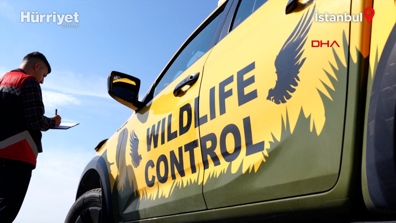 İstanbul ve Sabiha Gökçen havalimanlarında kuş sürüleri için ornitologlar görev başında
