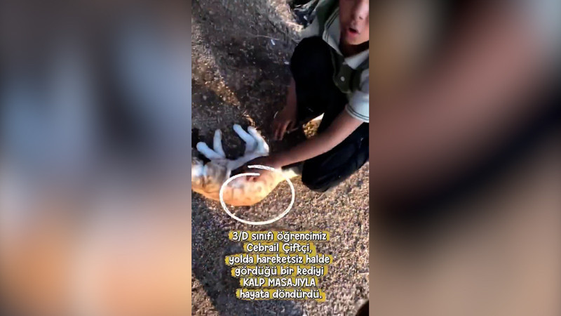 Elleri küçük ama yüreği kocaman... Cebrail Portakal’ı kalp masajıyla kurtardı