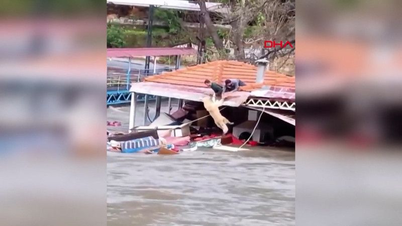 Antalya'da kuvvetli yağış 7 ilçede hasara neden oldu, mahsur kalan hayvanlar kurtarıldı