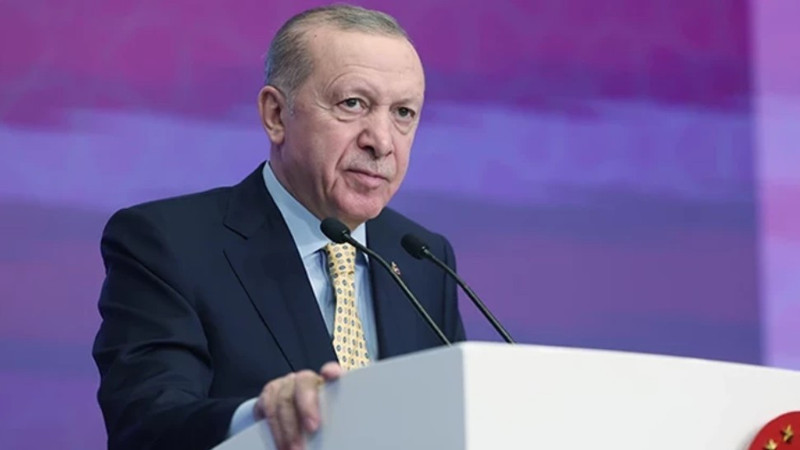 Cumhurbaşkanı Erdoğan: Tarihi bir adım attık, elimizi de gövdemizi de taşın altına koyduk