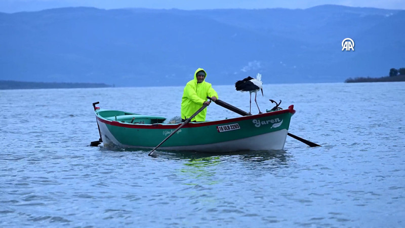Yaren Leylek 15. yılda da göçüp geldi