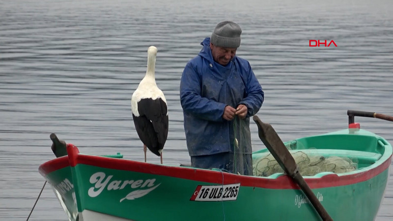 Adem Amca, 15 yıllık dostu Yaren leylekle özlem gideriyor