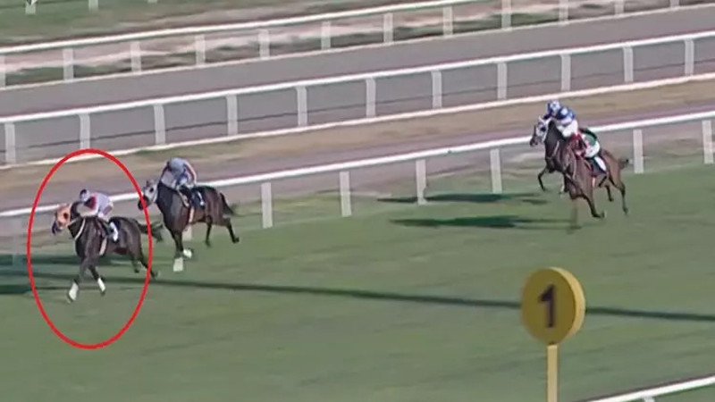 İngiliz atı Smart Latch kesilip etinden kavurma yapılmıştı! Bakanlıktan skandala 132 bin TL ceza!