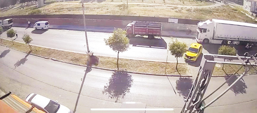 Utanmaz... Olay anında kaçan taksici tutuklandı