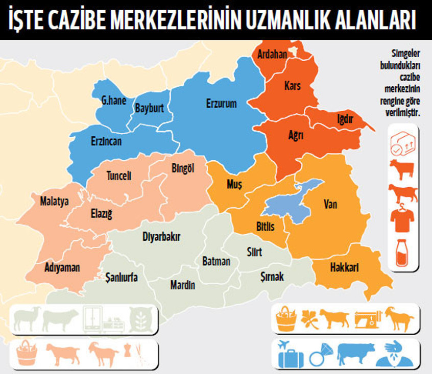 Her bölgeye ayrı uzmanlık