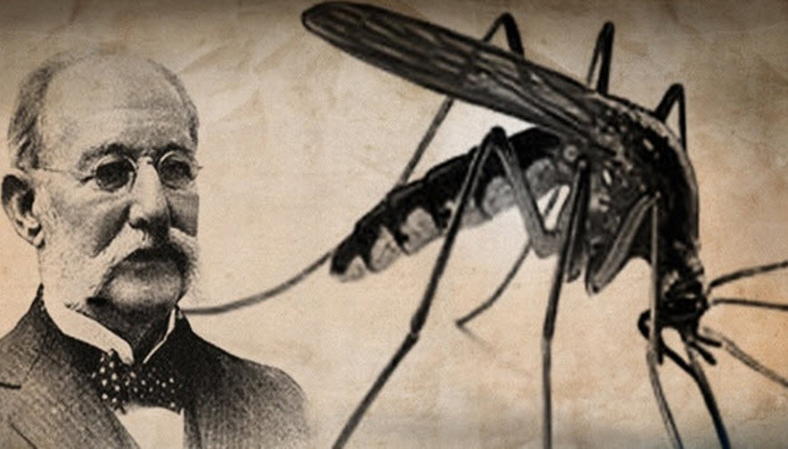 Carlos Juan Finlayin buluşu ölümünden 20 yıl sonra kıymete bindi