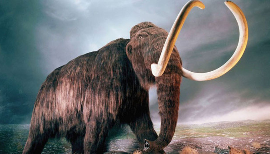 Mamutlar 4 bin yıl sonra geri mi dönüyor