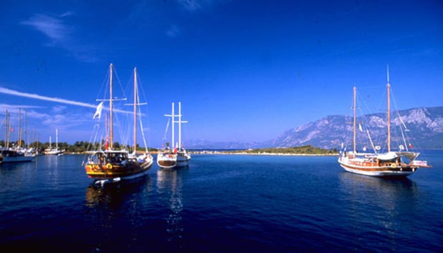 Çamlı Sahili’nin kiralanmasına büyük tepki