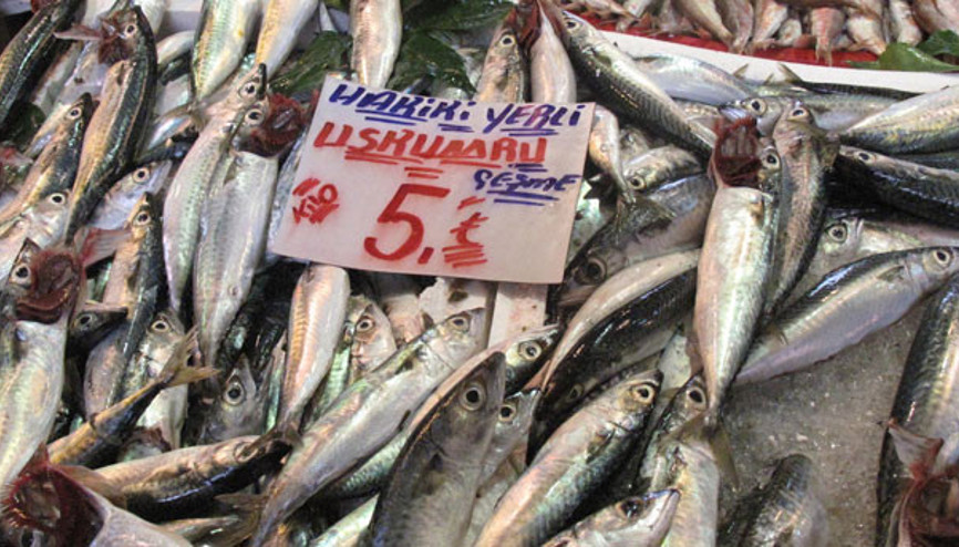Kilosu 5 liraya indi