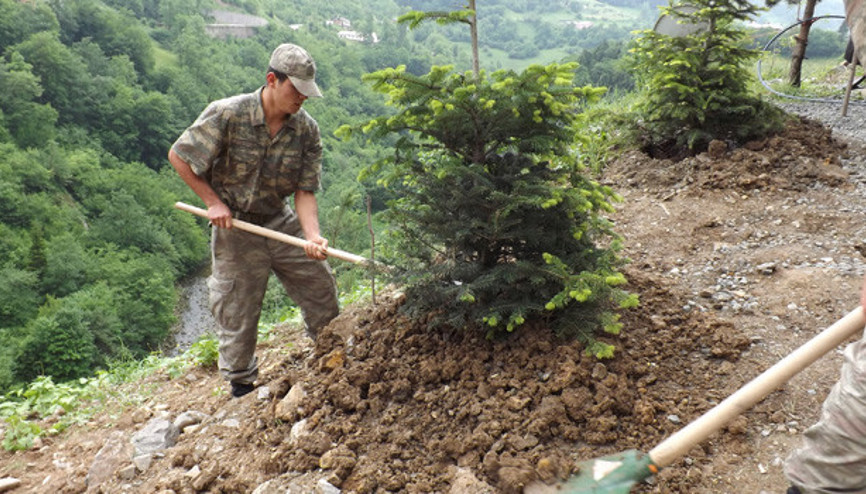 Maçkada, şehit Halit Avcı için hatıra ormanı kuruldu