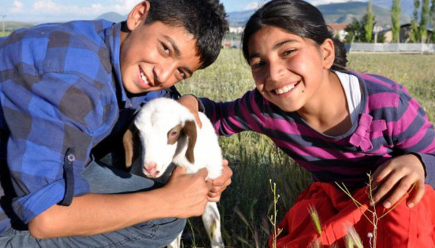 Çaresi resmen köy hayatı