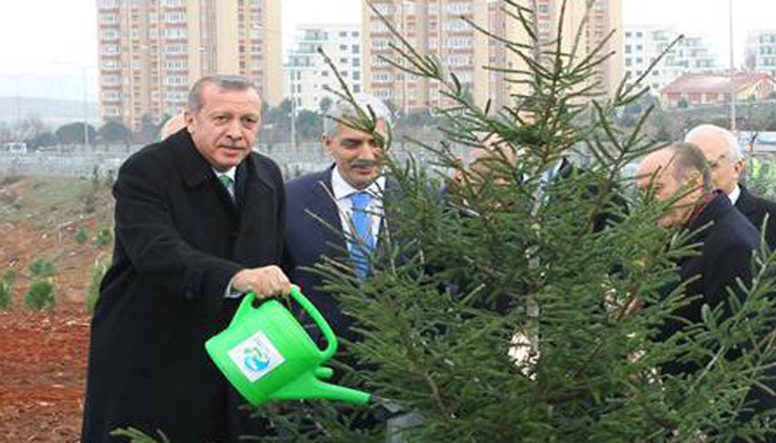 Milli İradeye Saygı ağacı