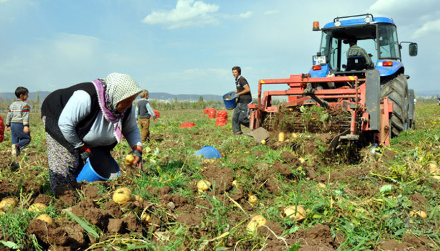 Elektrik borcu olan çiftçiye destek ödemesi yok