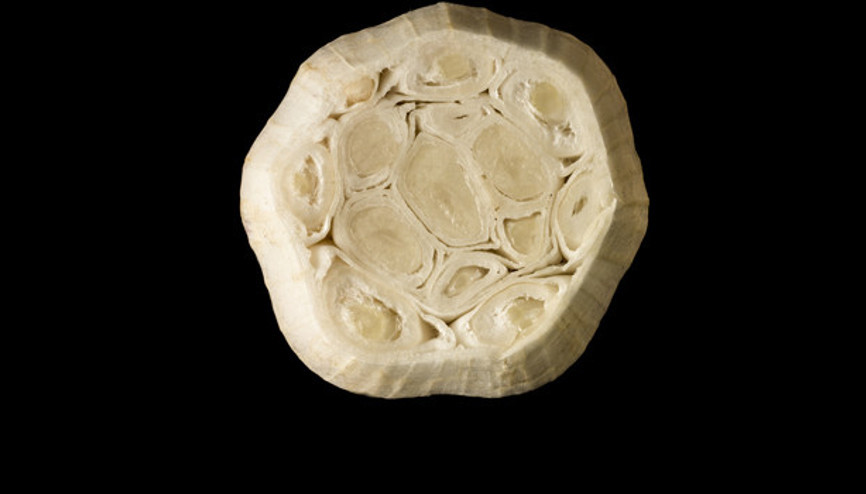 Sarımsak çiğnemek akciğer kanseri riskini azaltabilir