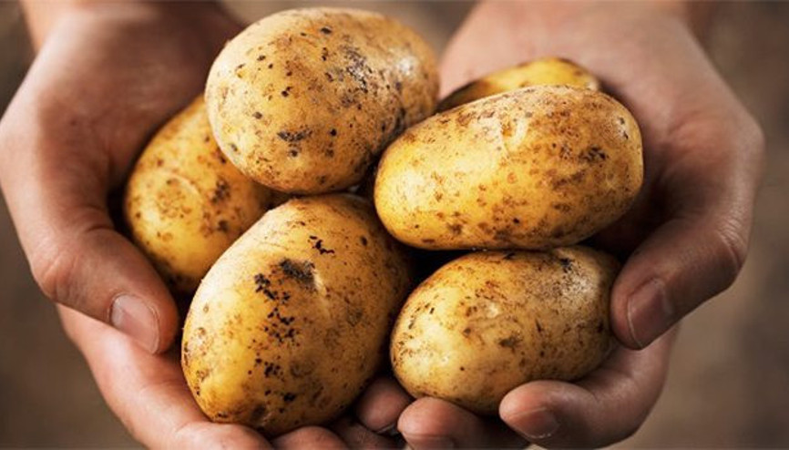 Patatesin fiyatı 2 liranın altına geriledi