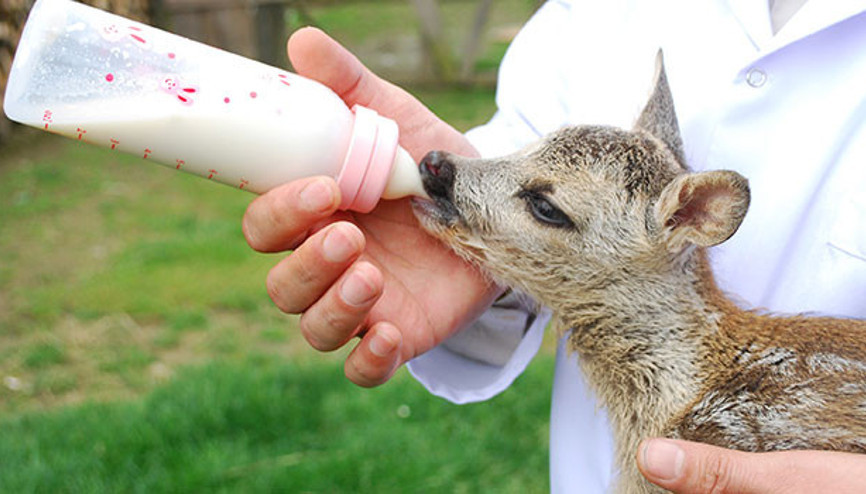 Darıcada bir hafta sonu