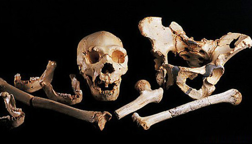 İnsanoğlunun 400 bin yıllık DNAsı bulundu
