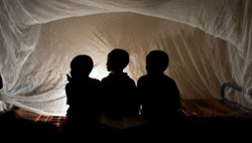 Sıtma aşısında 2015 umudu