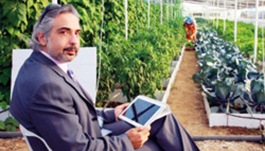 Farmville gerçek oldu