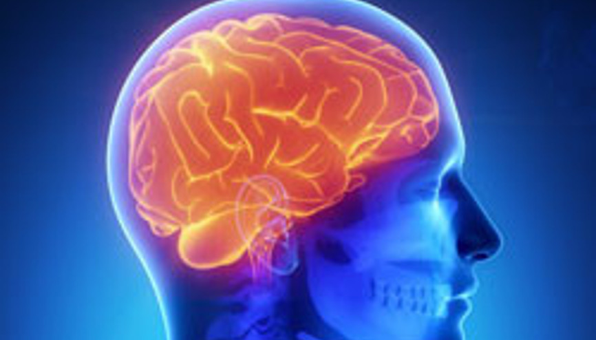 El yazınız her şeyi gösteriyor