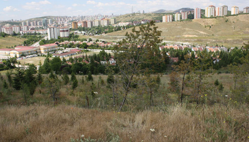 Önce yeşillendi şimdi dönüşecek