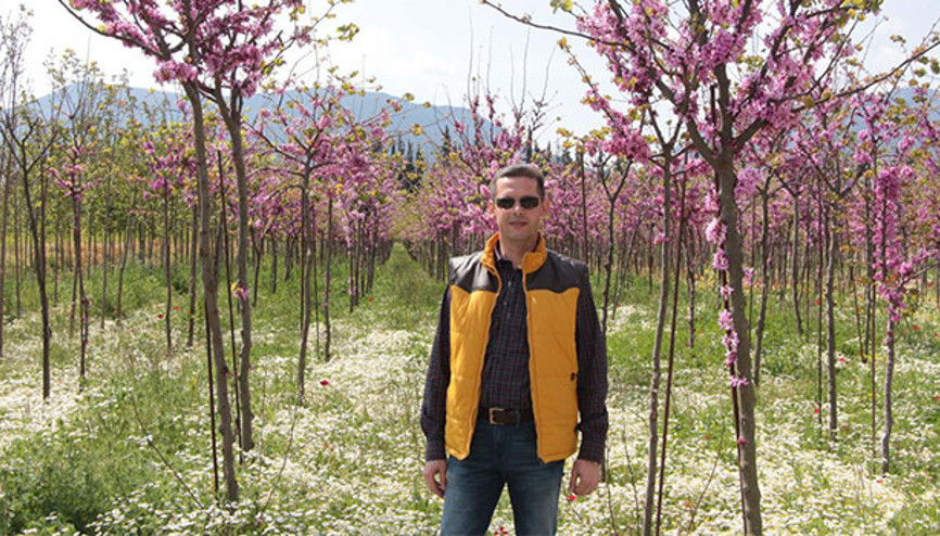 Sarayın fidanları Muradiyeden gidiyor