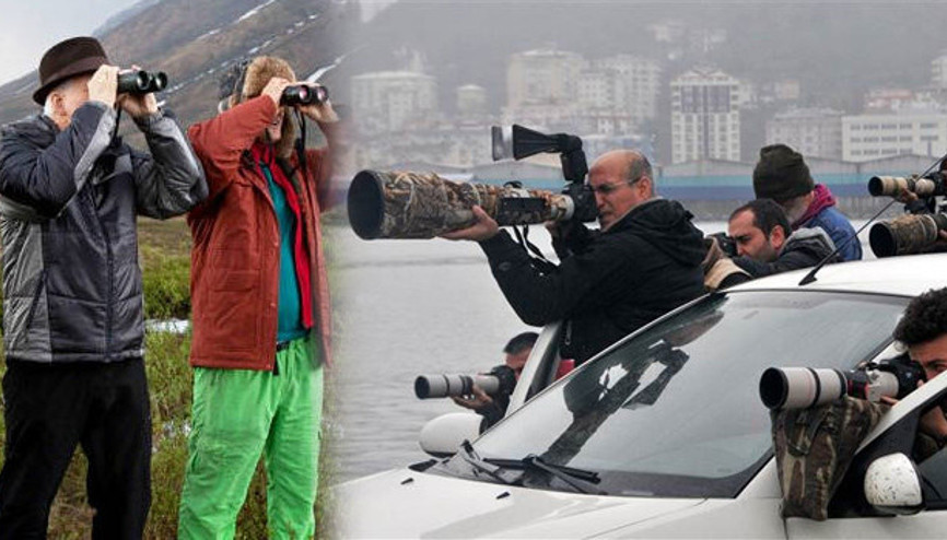 Gözlemciler Kutup Martısına akın edince, sinema filmi gerçek oldu (Kutup Martısı nedir)