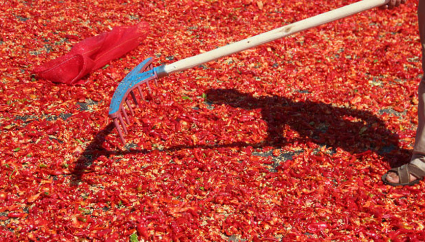 İsotun acı yolculuğu