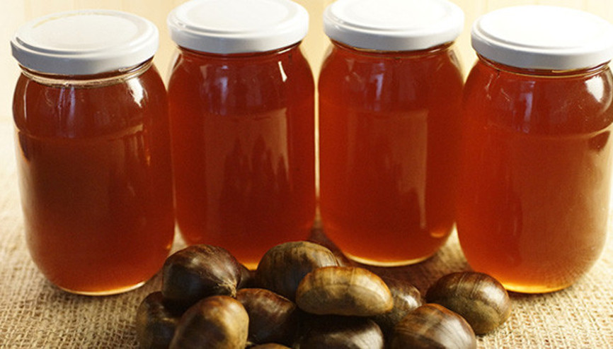 Kestane balı üretiminde rekor düşüş