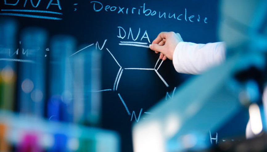 Sabri Ülker uluslararası bilim ödülü başvuruları başladı