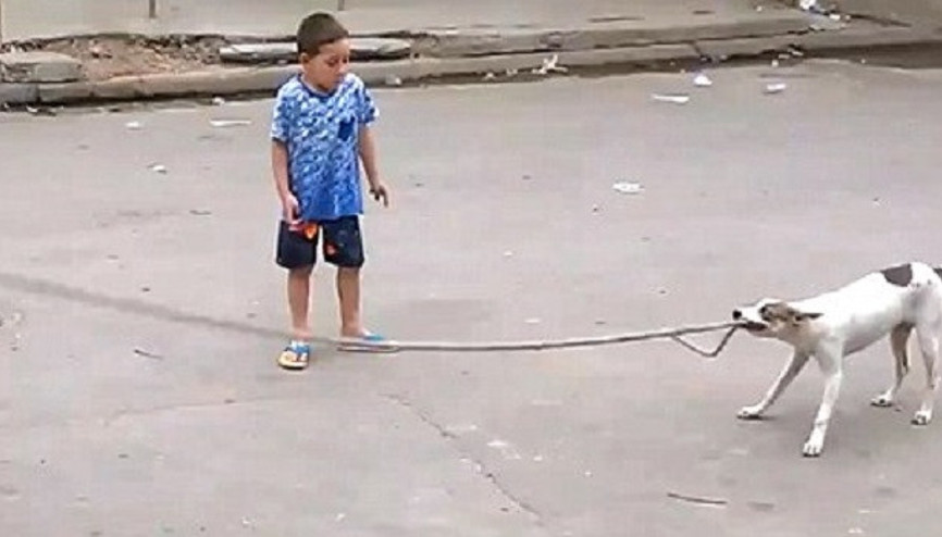Görenler şaşkına dönüyor