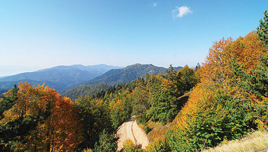 Yetiş Köroğlu Yetiş Köroğlu