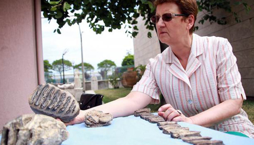 Samsunda bulunan mamut fosili 2 milyon yaşında çıktı