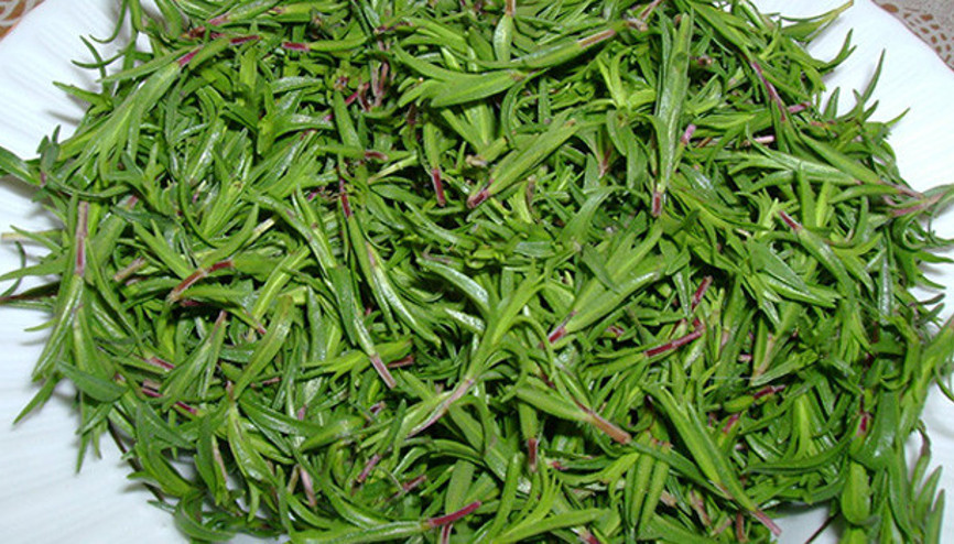 Zahter ıhlamurun tahtına göz dikti