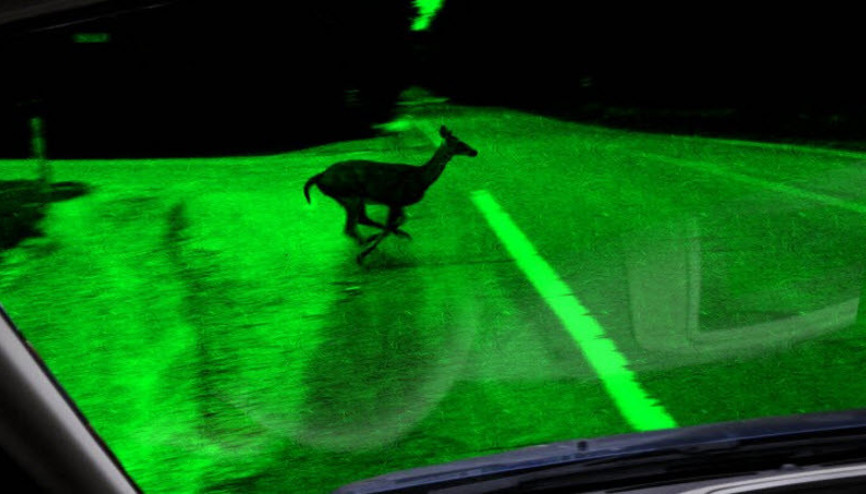 Telefonlara gece görüşü geliyor