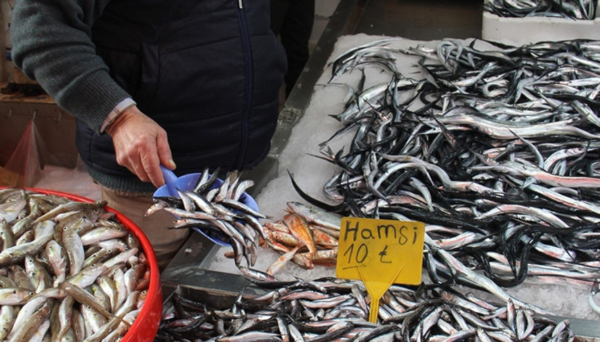 Taze hamsi yerini buzhane hamsisine