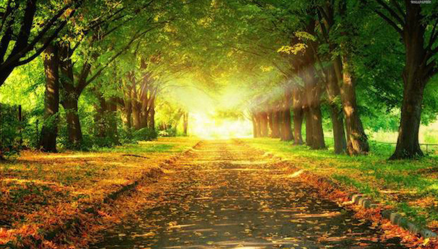 Atalardan girişimcinin yolunu aydınlatacak bir meşale